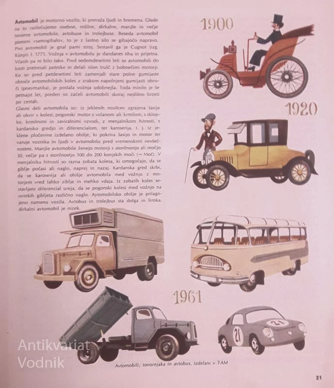 MLADI VEDEŽ, Miroslav Adlešič