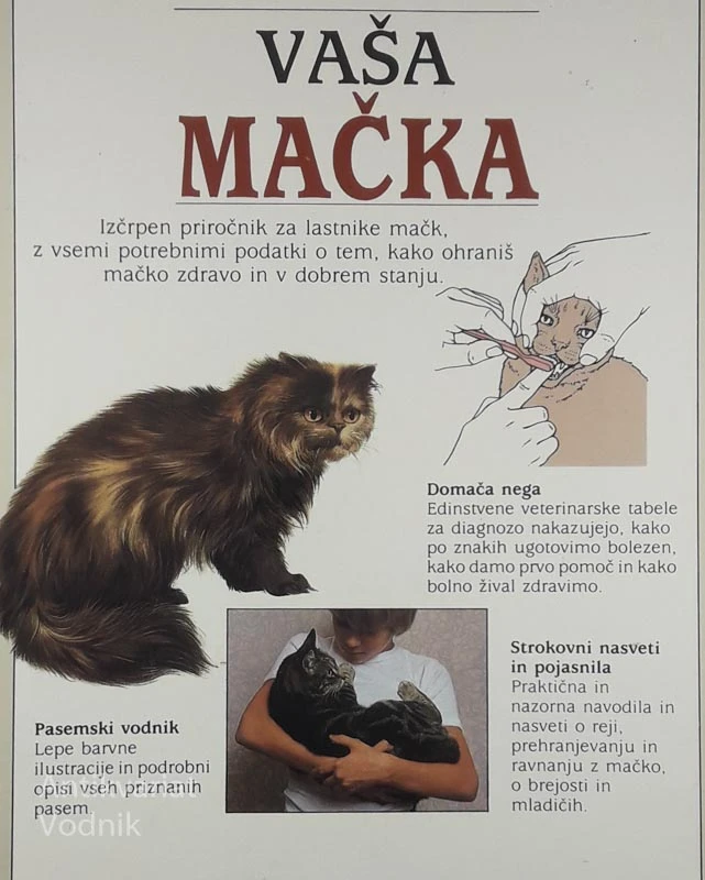 VAŠA MAČKA, David Taylor