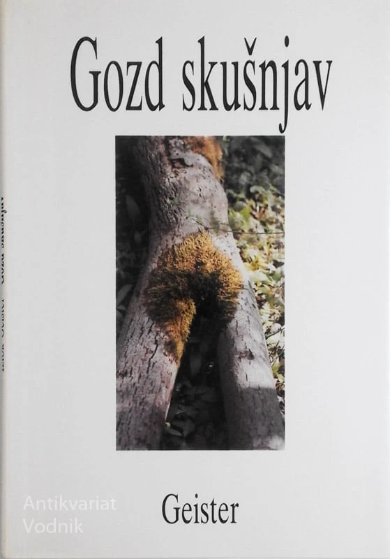 GOZD SKUŠNJAV, Iztok Geister