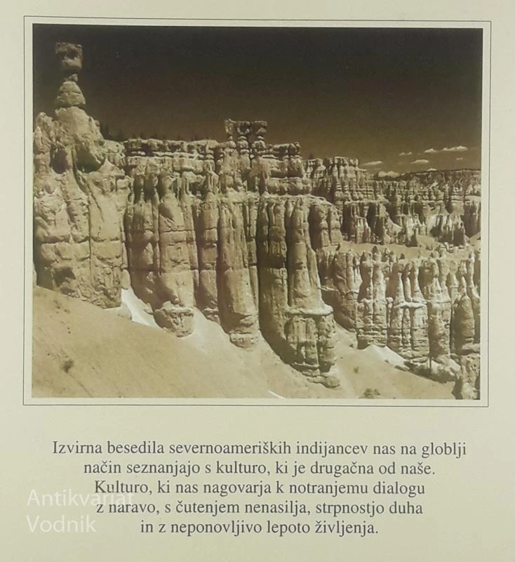 TUDI TRAVA IMA SVOJO PESEM; PRIJATELJSTVO Z ZEMLJO, Kathe Recheis in Georg Bydlinski
