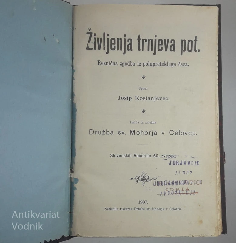 ŽIVLJENJA TRNJEVA POT, Josip Kostanjevec