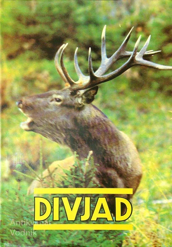 DIVJAD