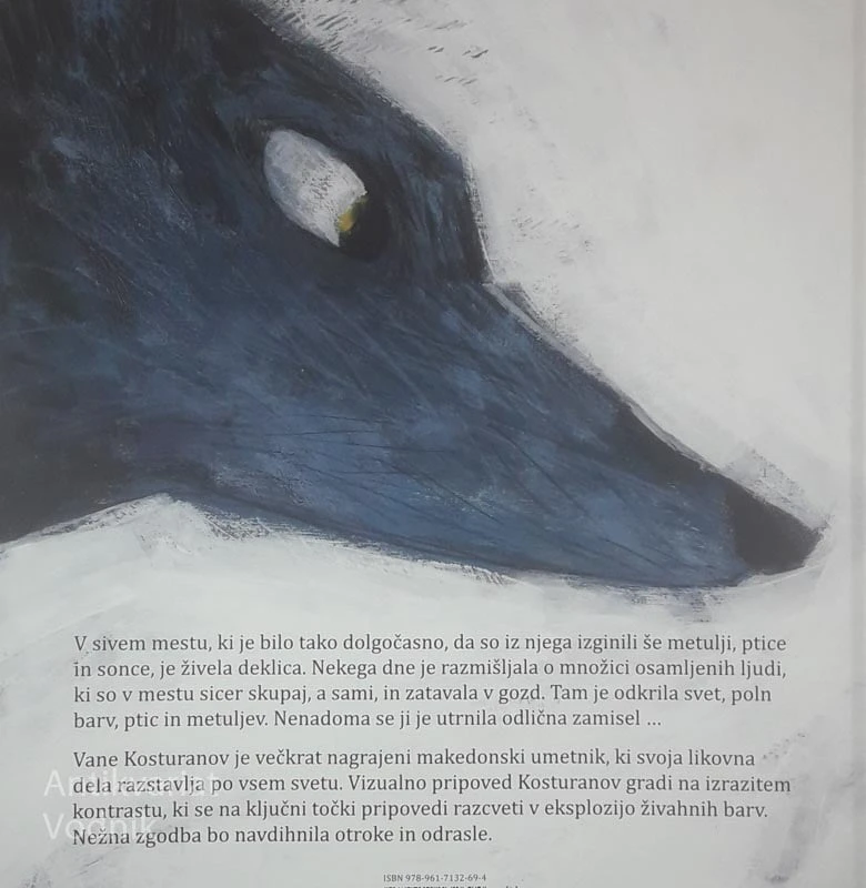 DEKLICA IN MESTO, Vane Kosturanov