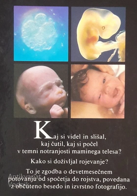 ROJSTVO, Sheila Kitzinger