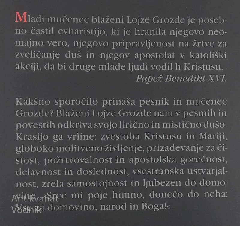 PESMI IN PROZA, blaženi Lojze Grozde