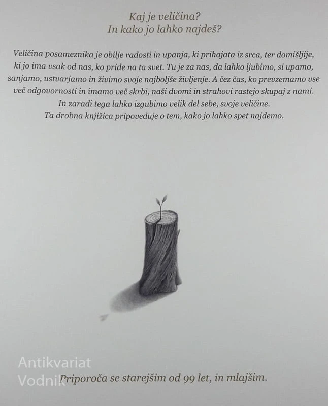 NAJDI SVOJO VELIČINO, Kobi Yamada