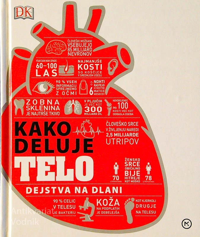KAKO DELUJE TELO