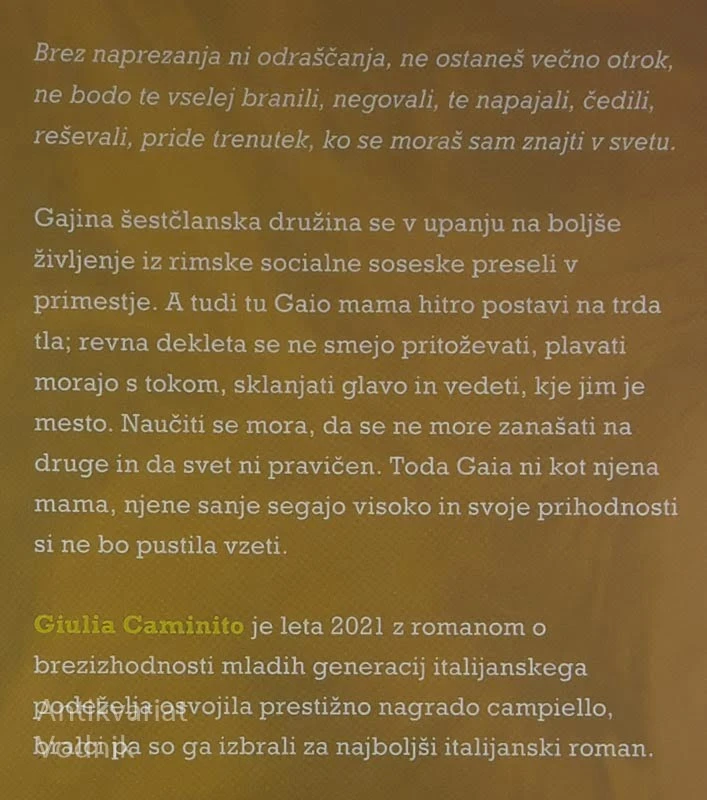 VODA V JEZERU NI NIKOLI SLADKA, Giulia Caminito