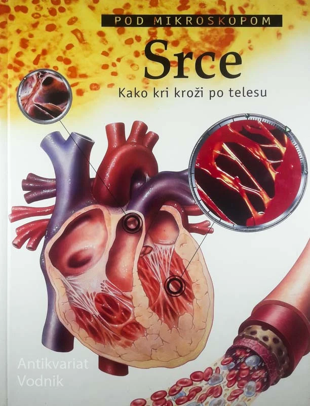 SRCE; KAKO KRI KROŽI PO TELESU, Richard Walker