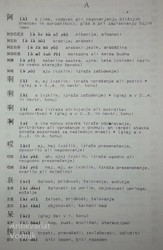 KITAJSKO – SLOVENSKI SLOVAR, Mitja Saje
