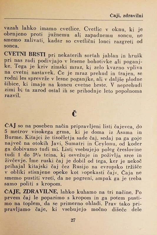 DOMAČI SVETOVALEC