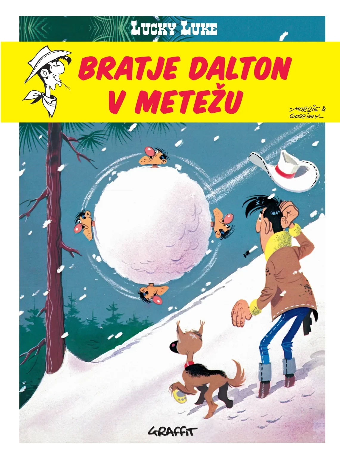 BRATJE DALTON V METEŽU