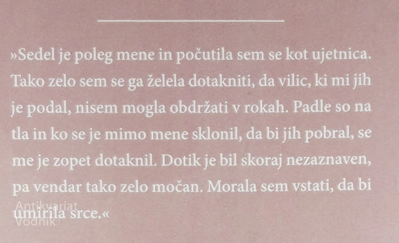 ABSTRAKTNA PODOBA, Gabriella M.