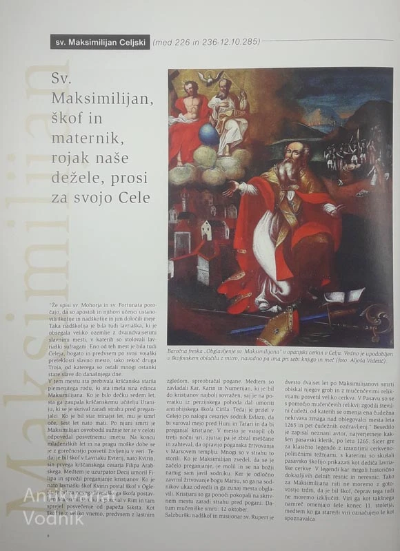 ZNAMENITI CELJANI, Bojan Cvelfar