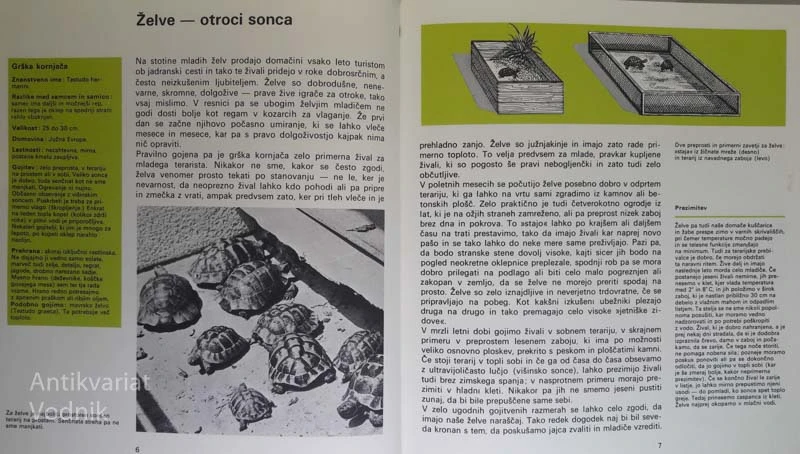 KONJIČEK: TERARIJ, Siegfried Schmitz