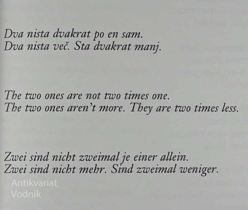 SAMOST / ALONENESS / ALLEINSEIN, Svetlana Makarovič v treh jezikih
