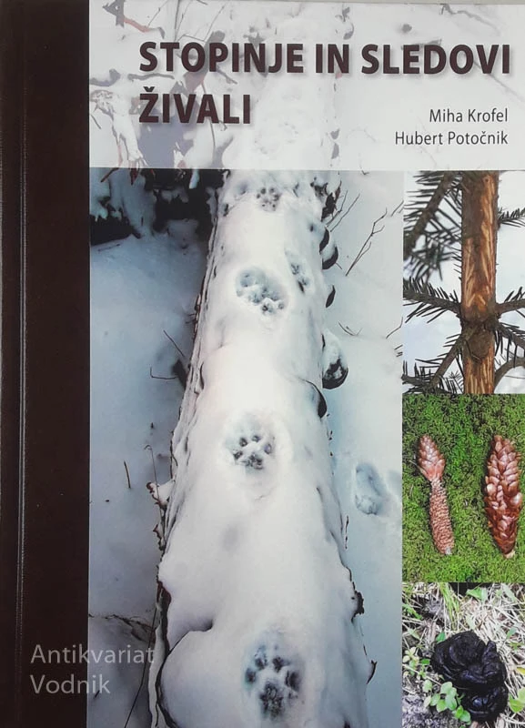 STOPINJE IN SLEDOVI ŽIVALI, Miha Krofel