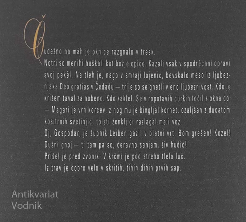 NA ROŽNATEM HRBTU FARAONKE, Saša Vuga