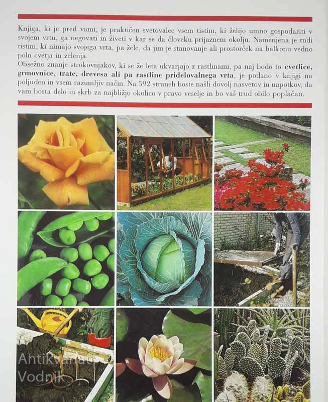 VELIKA KNJIGA O VRTU, več avtorjev