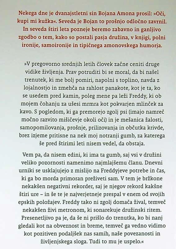 OČI, KUPI MI KUŽKA, Bojan Amon