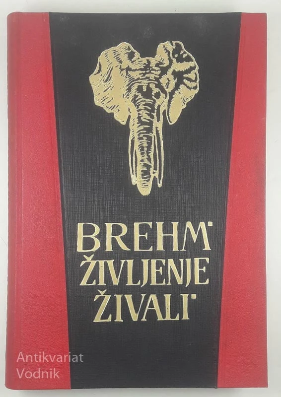 ŽIVLJENJE ŽIVALI, Brehm