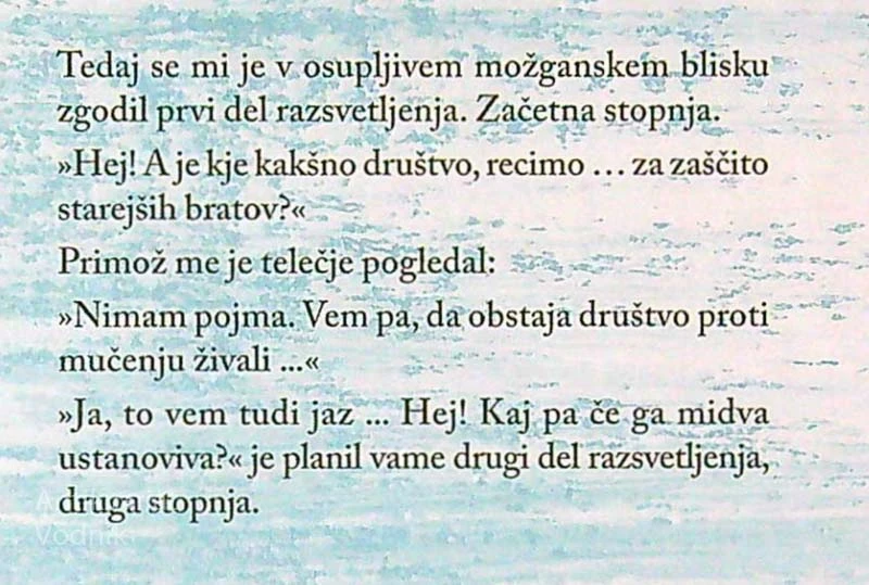 DRUŠTVO STAREJŠIH BRATOV, Nataša Konc Lorenzutti (ilustrirala Tanja Komadina)