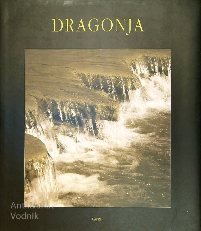 DRAGONJA, več avtorjev
