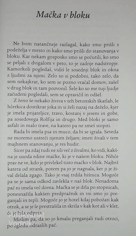 HOTEL SEM PRIJETI SONCE, Tone Partljič