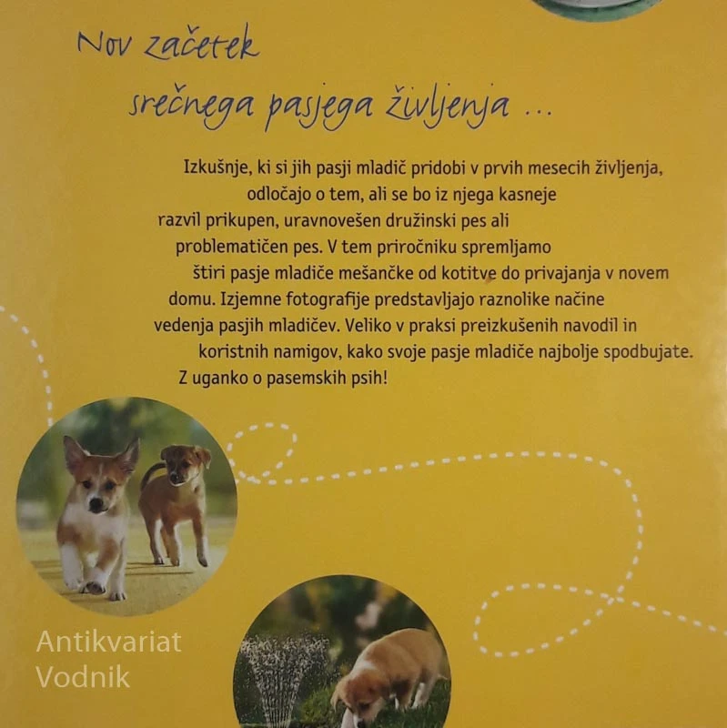 PASJI MLADIČKI, Monika Wegler