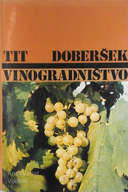VINOGRADNIŠTVO, Tit Doberšek