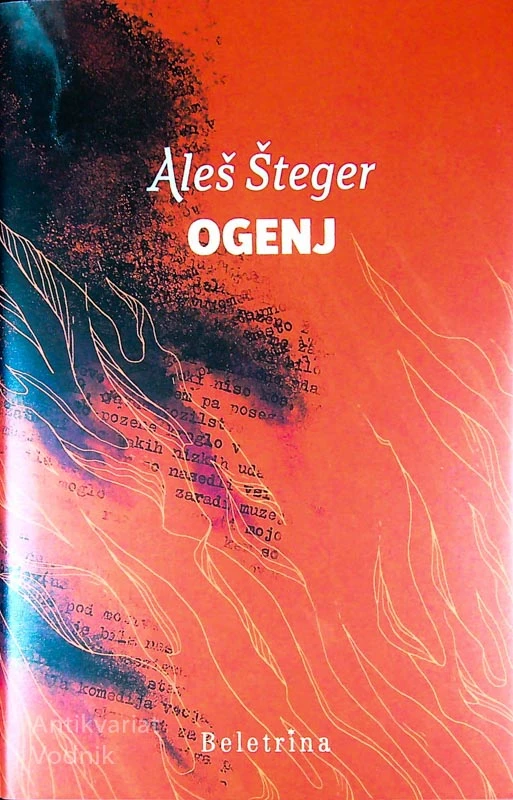 OGENJ, Aleš Šteger