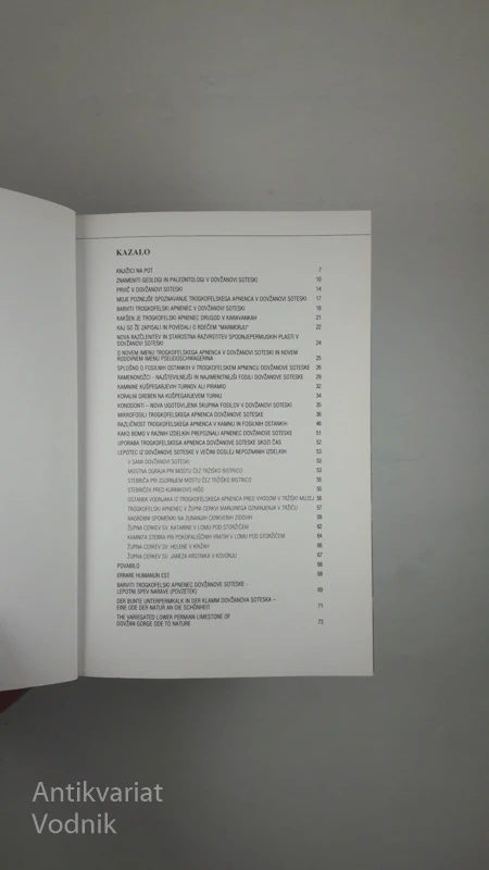 ZGODOVINSKI SPOMIN KRANJSKE: ŽIVLJENJE IN DELO PETRA PAVLA PL. RADICSA (1836-1912), Tanja Žigon