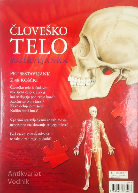 ČLOVEŠKO TELO; SESTAVLJANKA