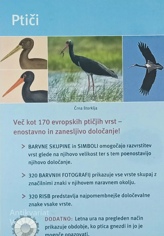 PTIČI; ENOSTAVNO IN ZANESLJIVO DOLOČANJE
