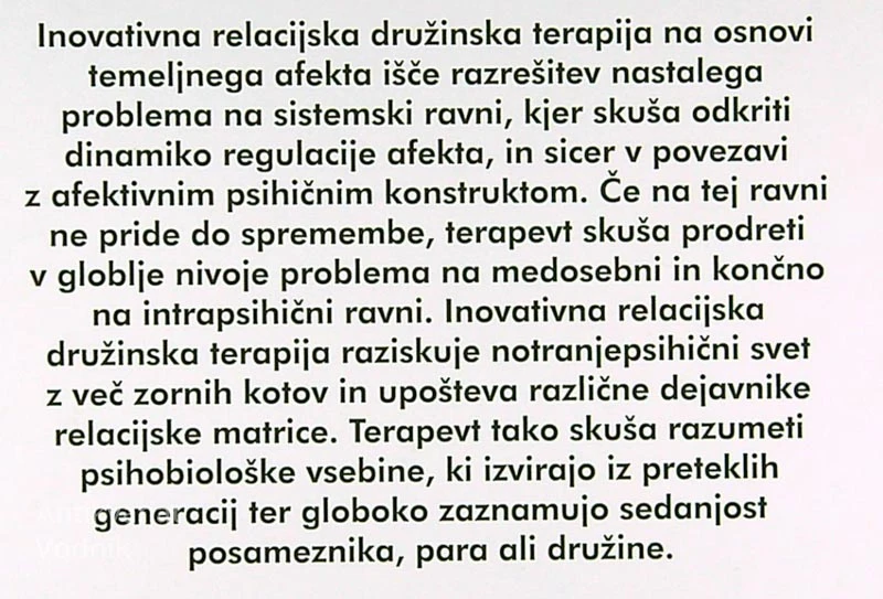 INOVATIVNA RELACIJSKA DRUŽINSKA TERAPIJA, Christian Gostečnik OFM