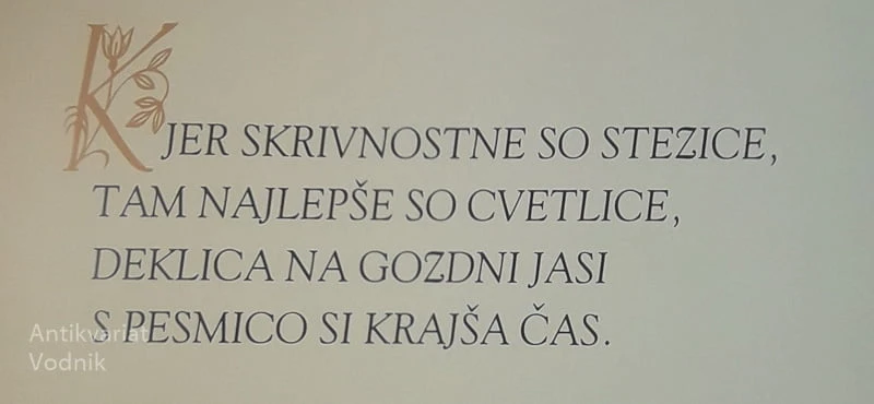 DEKLICA, Jože Potrebuješ in Sandi Ritter, ilustriral Miki Muster