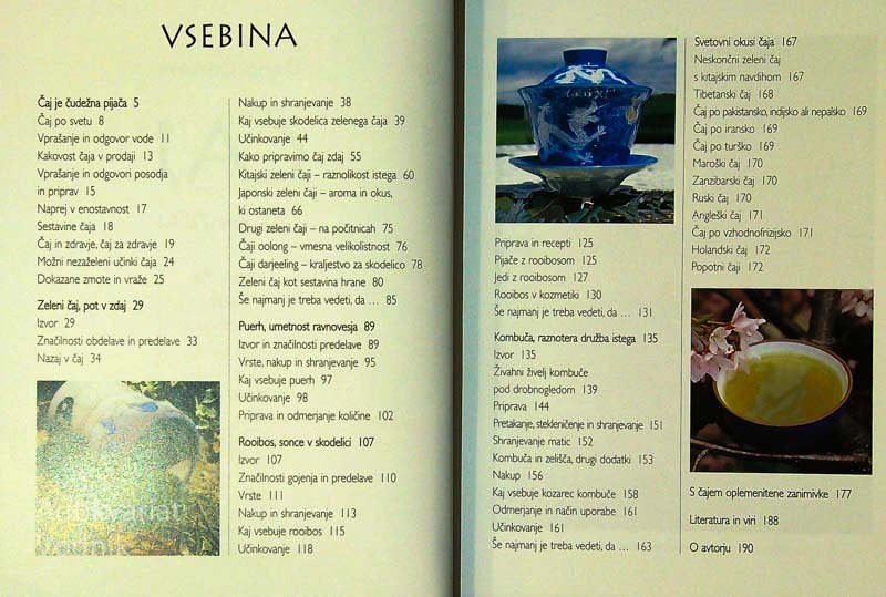 ČAJ; ČAS ZA ZDAJ, Dario Cortese