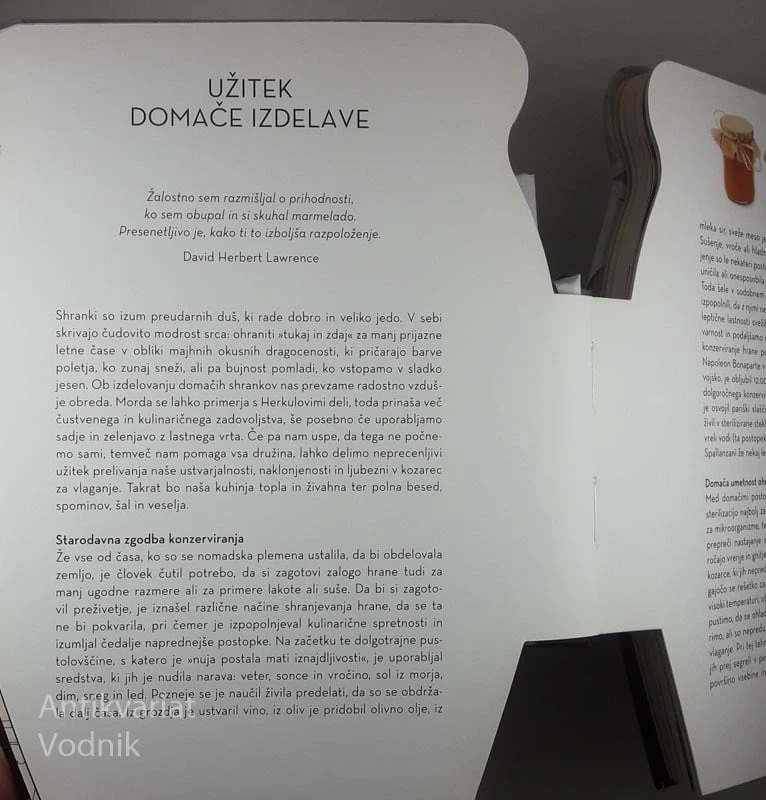 MARMELADE IN VLOŽENE DOBROTE; 50 PREPROSTIH RECEPTOV