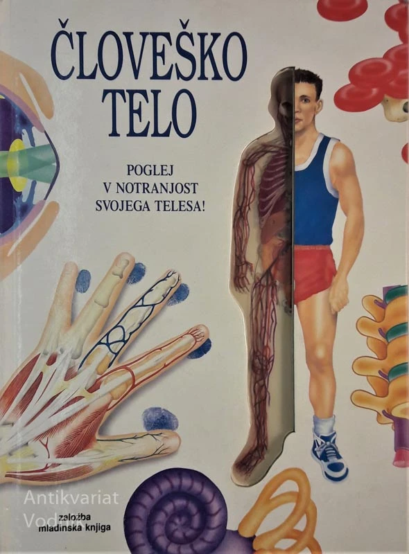 ČLOVEŠKO TELO