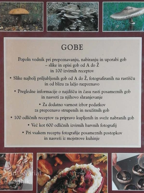 GOBE, Vodnik po svetu gob, Peter Jordan in Steven Wheeler
