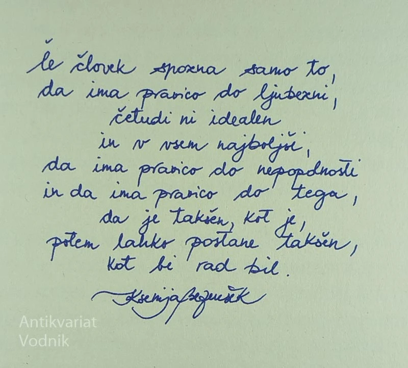 VREDNOST NEUSPEHA, Ksenija Bezenšek