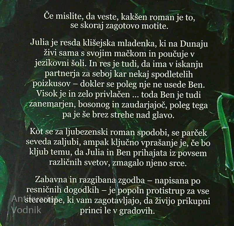 KAKO SE ZALJUBITI V MOŠKEGA IZ GRMOVJA, Emmy Abrahamson