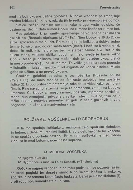 GOBE, Petkovšek – Stanič