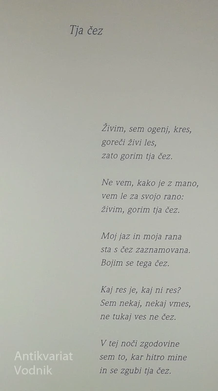 TJA ČEZ, Ervin Fritz