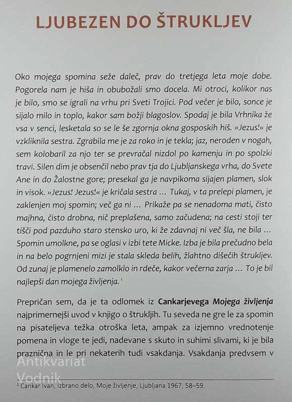 SLANI, SLADKI, DOBRO ZVITI, ŠTRUKLJI, TEKNEJO, ČE SMO LAČNI ALI SITI!, Janez Bogataj