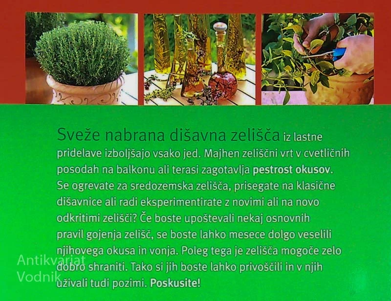 KUHINJSKA ZELIŠČA V LONCIH, Engelbert Kötter