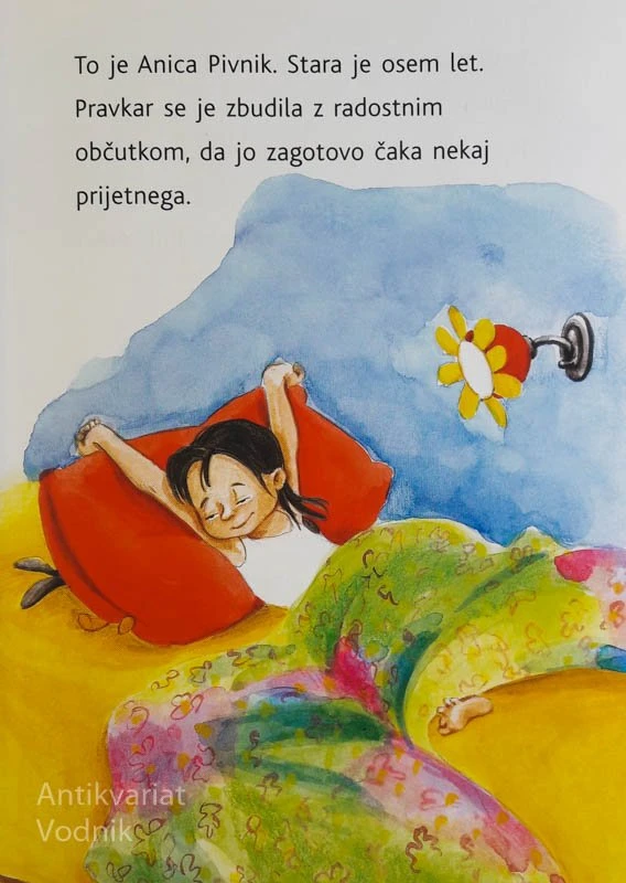 ANICA IN PRVA LJUBEZEN, Desa Muck