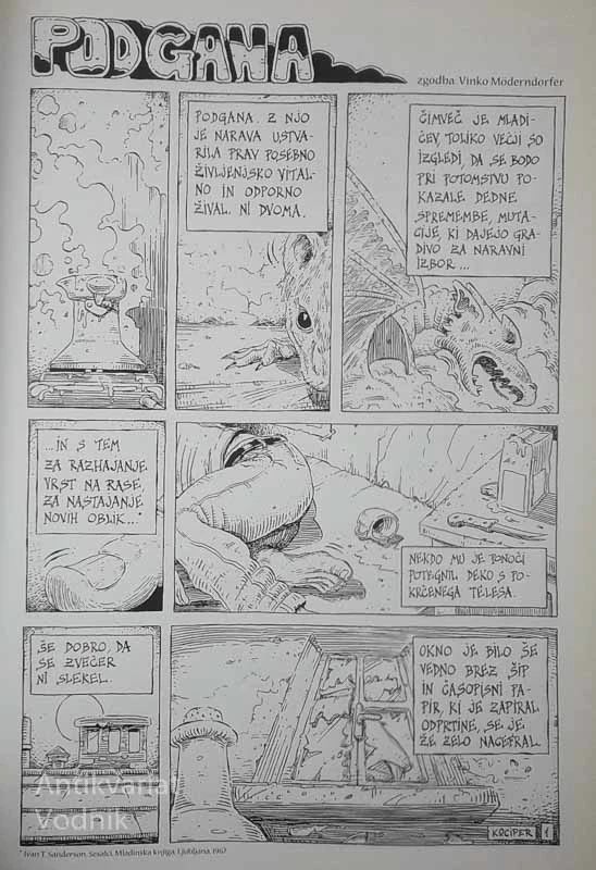 PODGANA, Marko Kociper