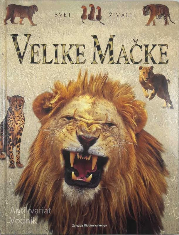 VELIKE MAČKE, Rhonda Klevansky