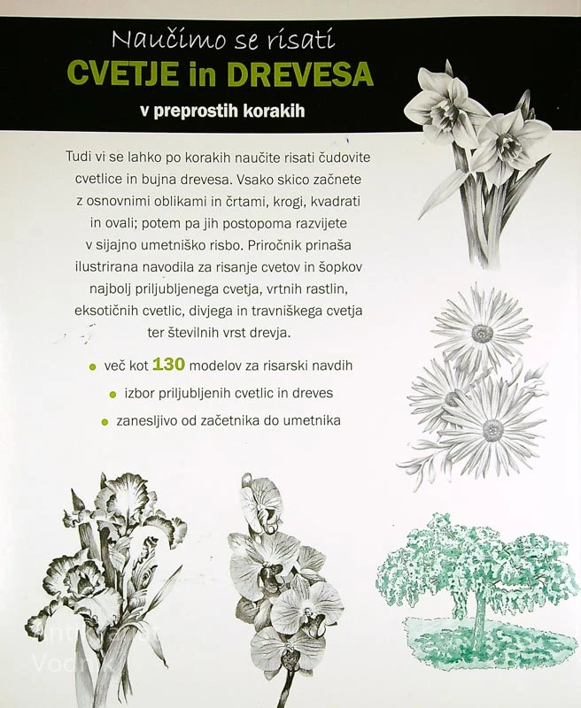 NAUČIMO SE RISATI CVETJE IN DREVESA V PREPROSTIH KORAKIH